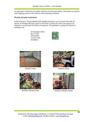 Jatropha curcas in Africa – an Evaluation

An agreement with hotels etc regards collection of used water bottles. The bottles are used for
water dripping system in the nurseries and as planting containers.

Planting Jatropha in plantation

In the rural area 1 hectare planted with Jatropha (Jatropha curcas) mixed with other oil
species as Moringa (Moringa oleifera) and Neem (Azadirachta indica) are going to be
initiated as research plot for further investigation. The plantation is going to be based on
seedlings only.

                        Environment Africa
                        Box CT502
                        Chinotimba
                        Victoria Falls
                        Zimbabwe




                Jatropha nursery                                 Jatropha cuttings




           Planting of Jatropha seeds                       Planting of Jatropha cuttings




                                                                                               35
     Reinhard K. Henning, bagani, Rothkreuz 11, D-88138 Weissensberg, Germany
           e-mail: henning@bagani.de, Jatropha website: www.Jatropha.org
 