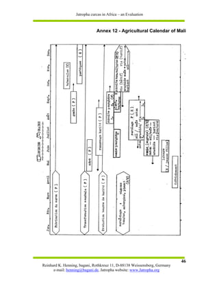 Jatropha curcas in Africa – an Evaluation



                              Annex 12 - Agricultural Calendar of Mali




                                                                           46
Reinhard K. Henning, bagani, Rothkreuz 11, D-88138 Weissensberg, Germany
      e-mail: henning@bagani.de, Jatropha website: www.Jatropha.org
 