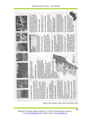 Jatropha curcas in Africa – an Evaluation




                                 Paper of the Jatropha Task Team of KwaZulu/Natal


                                                                              49
Reinhard K. Henning, bagani, Rothkreuz 11, D-88138 Weissensberg, Germany
      e-mail: henning@bagani.de, Jatropha website: www.Jatropha.org
 
