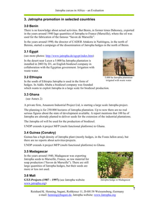 Jatropha curcas in Africa – an Evaluation


3. Jatropha promotion in selected countries
3.0 Benin
There is no knowledge about actual activities. But Benin, in former times Dahomey, exported
in the years around 1940 lage quantities of Jatropha to France (Marseille), where the oil was
used for the fabrication of the famous “Savon de Marseille”.
In the years around 1990, the director of CADER Attakora in Natitingou, in the north of
Beninn, started a campaign of the dissemination of Jatropha hedges in the north of Benin.

3.1 Egypt
(see more photos: http://www.jatropha.de/egypt/index.htm)
In the desert near Luxor a 5.000 ha Jatropha plantation is
installed in 2003 by D1, an English biodiesel company in
collaboration with the Egyptian government. Irrigation with
waste water.

3.2 Ethiopia                                                           5.000 ha Jatropha plantation
In the south of Ethiopia Jatropha is used in the form of                irrigated with waste water
hedges. In Addis Ababa a biodiesel company was founded
which wants to exploit Jatropha in a large scale for biodiesel production.

3.3 Ghana
 (see Annex 2)

A private firm, Anuanom Industrial Project Ltd, is starting a large scale Jatropha project.
The planning is for 250.000 hectares of Jatropha plantation. Up to now there are no real
serious figures about the state of development available. A report mentions that 100 ha of
Jatropha are alrerady planted to deliver seeds for the extension of the industrial plantations.
The Jatropha oil will be used for the production of biodiesel.
UNDP extends it project MFP (multi functional platforms) to Ghana.

3.4 Guinea (Conakry)
Guinea has a high density of Jatropha plant (mostly hedges, in the Fouta Jallon area), but
there are no reports about activities/projects.
UNDP extends it project MFP (multi functional platforms) to Ghana.

3.5 Madagascar
In the years around 1940, Madagascar was exporting
Jatropha seeds to Marseille, France, as raw material for
soap production (“Savon de Marseille”). There are still
large quantities of Jatropha hedges, but their seeds are
more or less not used.

3.6 Mali
GTZ-Projects (1987 – 1997) (see Jatropha website                   Jatropha hedge in Madagascar
www.jatropha.org)
                                                                                                      7
     Reinhard K. Henning, bagani, Rothkreuz 11, D-88138 Weissensberg, Germany
           e-mail: henning@bagani.de, Jatropha website: www.Jatropha.org
 