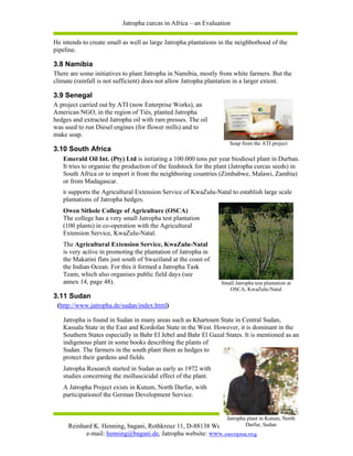 Jatropha curcas in Africa – an Evaluation

He intends to create small as well as large Jatropha plantations in the neighborhood of the
pipeline.

3.8 Namibia
There are some initiatives to plant Jatropha in Namibia, mostly from white farmers. But the
climate (rainfall is not sufficient) does not allow Jatropha plantation in a larger extent.

3.9 Senegal
A project carried out by ATI (now Enterprise Works), an
American NGO, in the region of Tiès, planted Jatropha
hedges and extracted Jatropha oil with ram presses. The oil
was used to run Diesel engines (for flower mills) and to
make soap.
                                                                     Soap from the ATI project
3.10 South Africa
   Emerald Oil Int. (Pty) Ltd is initiating a 100.000 tons per year biodiesel plant in Durban.
   It tries to organise the production of the feedstock for the plant (Jatropha curcas seeds) in
   South Africa or to import it from the neighboring countries (Zimbabwe, Malawi, Zambia)
   or from Madagascar.
   It supports the Agricultural Extension Service of KwaZulu-Natal to establish large scale
   plantations of Jatropha hedges.
   Owen Sithole College of Agriculture (OSCA)
   The college has a very small Jatropha test plantation
   (100 plants) in co-operation with the Agricultural
   Extension Service, KwaZulu-Natal.
   The Agricultural Extension Service, KwaZulu-Natal
   is very active in promoting the plantation of Jatropha in
   the Makatini flats just south of Swaziland at the coast of
   the Indian Ocean. For this it formed a Jatropha Task
   Team, which also organises public field days (see
   annex 14, page 48).                                           Small Jatropha test plantation at
                                                                    OSCA, KwaZulu-Natal
3.11 Sudan
 (http://www.jatropha.de/sudan/index.html)

   Jatropha is found in Sudan in many areas such as Khartoum State in Central Sudan,
   Kassala State in the East and Kordofan State in the West. However, it is dominant in the
   Southern States especially in Bahr El Jebel and Bahr El Gazal States. It is mentioned as an
   indigenous plant in some books describing the plants of
   Sudan. The farmers in the south plant them as hedges to
   protect their gardens and fields.
   Jatropha Research started in Sudan as early as 1972 with
   studies concerning the molluscicidal effect of the plant.
   A Jatropha Project exists in Kutum, North Darfur, with
   participationof the German Development Service.


                                                                   Jatropha plant in Kutum, North 9
                                                                    Darfur, Sudan
     Reinhard K. Henning, bagani, Rothkreuz 11, D-88138 Weissensberg, Germany
           e-mail: henning@bagani.de, Jatropha website: www.Jatropha.org
 