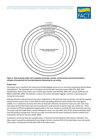Figure 1: Only by being viable and acceptable technically, socially , economically and environmentally is
Jatropha oil production for local development interesting for up-scaling

Project Area
The project area is located in the costal zone of Cabo Delgado province in an area with a population density below
18 people/km2. The dominant soils are Cambisol and Acrisol with some Chernozem (INIA-DTA, 2002, FAO
classification). Most of the project area is within agro-climatic zone R8 (INIA, 2000) with annual rainfall around
800mm (INIA-DIA, 1999). The bedrock is close to the surface and water-logging is common in low-lying areas
during the rainy season.
Shifting cultivation with permanent dry season settlements is the dominant land-use practise. During the cropping
season farmers move to huts in their fields to avoid long walking distances and to protect the crops against
wildlife. It is a subsistence economy that relies on food self-sufficiency. No external inputs are used. Cash crops
have lower priority than food crops and are produced in small amounts to pay for soap, salt, clothes etc.. There
are virtually no off-farm employment opportunities in the area. Sesame is currently the most important cash crop.
The major crop and staple food is cassava followed by maize, rice and millet. Only 22.6% of the households report
that they produce enough food. The rest are under nourished and 2% report having lost a family member from
malnutrition during the last year (ADDP, 2009).
Cultivation is strictly by hand and available labour is therefore the limiting factor that restricts cultivation. The
labour peak is caused by weeding which according to farmers constitute 35% of the total labour hours during the
rainy season. Chasing wild animals takes 30% of the labour hours.
 