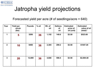 Jatropha yield projections
       Forecasted yield per acre (# of seedlings/acre = 640)

Year   Yield per   Pounds   % oil   Wt. of    Gallons   Estimated        Estimated
           shrub                        oil       of        price of         value of oil
           (lbs)                                  oil       oil (unit)       (total)*

  1         5       3200      36     1,152     149.6        $3.50            $523.60




  2         10      6400      36     2,304     299.2        $3.50           $1047.20




  3         20     12,800     36     4,608     598.4        $3.50           $2,094.40
 