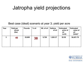 Jatropha yield projections

       Best case (ideal) scenario at year 3; yield per acre
Year     Yield per   Pounds    % oil   Wt. of oil   Gallons      Estimated      Estimated
             shrub                                      of oil       price of       value of
             (lbs)                                                   oil            oil
                                                                     (unit)         (total)*
   3         40       25,600             9,728      1,263.37        $3.50        $4,421.79
                                 38
 