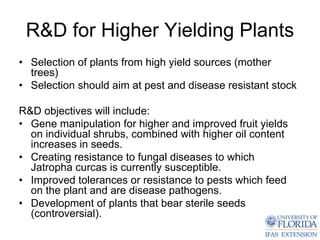 R&D for Higher Yielding Plants
• Selection of plants from high yield sources (mother
  trees)
• Selection should aim at pest and disease resistant stock

R&D objectives will include:
• Gene manipulation for higher and improved fruit yields
  on individual shrubs, combined with higher oil content
  increases in seeds.
• Creating resistance to fungal diseases to which
  Jatropha curcas is currently susceptible.
• Improved tolerances or resistance to pests which feed
  on the plant and are disease pathogens.
• Development of plants that bear sterile seeds
  (controversial).
 