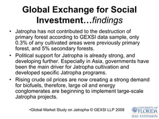 Global Exchange for Social
        Investment…findings
• Jatropha has not contributed to the destruction of
  primary forest according to GEXSI data sample, only
  0.3% of any cultivated areas were previously primary
  forest, and 5% secondary forests.
• Political support for Jatropha is already strong, and
  developing further. Especially in Asia, governments have
  been the main driver for Jatropha cultivation and
  developed specific Jatropha programs.
• Rising crude oil prices are now creating a strong demand
  for biofuels, therefore, large oil and energy
  conglomerates are beginning to implement large-scale
  Jatropha projects.

        •Global Market Study on Jatropha © GEXSI LLP 2008
 