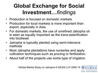 Global Exchange for Social
        Investment…findings
• Production is focused on domestic markets
• Production for local markets is more important than
  export, especially in Asia.
• For domestic markets, the use of unrefined Jatropha oil
  is seen as equally important as the trans-esterification
  into biodiesel.
• Jatropha is typically planted using semi-intensive
  methods
• Most Jatropha plantations have nurseries and apply
  cultivation techniques such as pruning or fertilization.
• About half of the projects use some type of irrigation.

        •Global Market Study on Jatropha © GEXSI LLP 2008 15
 