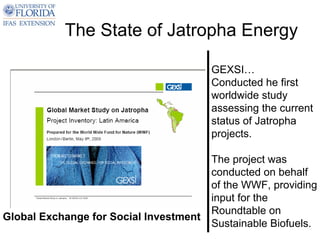 The State of Jatropha Energy

                                        GEXSI…
                                        Conducted he first
                                        worldwide study
                                        assessing the current
                                        status of Jatropha
                                        projects.

                                        The project was
                                        conducted on behalf
                                        of the WWF, providing
                                        input for the
                                        Roundtable on
Global Exchange for Social Investment
                                        Sustainable Biofuels.
 