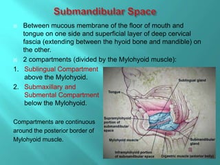  Between mucous membrane of the floor of mouth and
tongue on one side and superficial layer of deep cervical
fascia (extending between the hyoid bone and mandible) on
the other.
 2 compartments (divided by the Mylohyoid muscle):
1. Sublingual Compartment
above the Mylohyoid.
2. Submaxillary and
Submental Compartment
below the Mylohyoid.
Compartments are continuous
around the posterior border of
Mylohyoid muscle.
 
