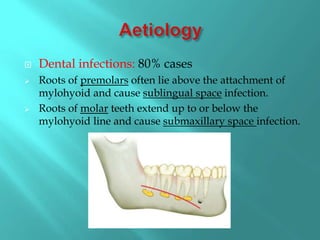  Dental infections: 80% cases
 Roots of premolars often lie above the attachment of
mylohyoid and cause sublingual space infection.
 Roots of molar teeth extend up to or below the
mylohyoid line and cause submaxillary space infection.
 