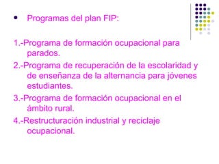 Programas del plan FIP: 1.-Programa de formación ocupacional para parados. 2.-Programa de recuperación de la escolaridad y de enseñanza de la alternancia para jóvenes estudiantes. 3.-Programa de formación ocupacional en el ámbito rural. 4.-Restructuración industrial y reciclaje ocupacional. 