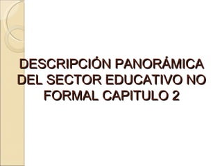 DESCRIPCIÓN PANORÁMICA DEL SECTOR EDUCATIVO NO FORMAL CAPITULO 2 