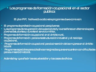 Los programas de formación ocupacional en el sector publico : El plan FIP,  ha llevado a cabo seis programas clave como son:  El programa de profesión ocupacional para jóvenes Los programas de recuperación de la escolaridad y la enseñanza en alternancia para jóvenes estudiantes y durante el servicio militar,  Programas de formación ocupacional en el ámbito rural,  Programas de formación  para la reestructuración industrial y el reciclaje ocupacional, Programas de formación ocupacional para la inserción de las mujeres en el ámbito laboral  Programas especiales para colectivos marginados que se encuentran con dificultades para su inserción laboral.  Además hay que añadir las escuelas taller y las casas de oficios. 