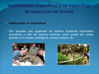Instituciones especificas y no especificas de educación no formal. Instituciones no especificas. Son aquellas que organizan de manera ocasional actividades educativas o bien de manera continua, como puede ser visitas guiadas a un museo, zoológicos, centros cívicos, etc. 