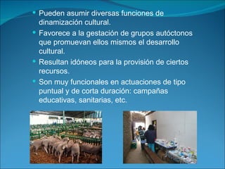 Pueden asumir diversas funciones de dinamización cultural. Favorece a la gestación de grupos autóctonos que promuevan ellos mismos el desarrollo cultural. Resultan idóneos para la provisión de ciertos recursos. Son muy funcionales en actuaciones de tipo puntual y de corta duración: campañas educativas, sanitarias, etc. 