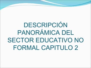 DESCRIPCIÓN PANORÁMICA DEL SECTOR EDUCATIVO NO FORMAL CAPITULO 2 