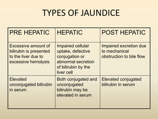 Jaundice And Its Types Overall Science Jaundice And Its Types Overall Science