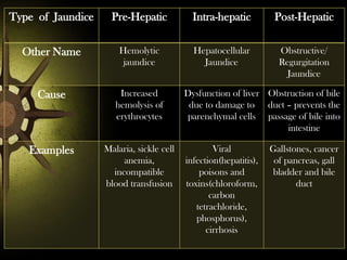 Type of Jaundice

Pre-Hepatic

Intra-hepatic

Post-Hepatic

Other Name

Hemolytic
jaundice

Hepatocellular
Jaundice

Obstructive/
Regurgitation
Jaundice

Cause

Increased
hemolysis of
erythrocytes

Examples

Malaria, sickle cell
anemia,
incompatible
blood transfusion

Dysfunction of liver Obstruction of bile
due to damage to duct – prevents the
parenchymal cells passage of bile into
intestine
Viral
infection(hepatitis),
poisons and
toxins(chloroform,
carbon
tetrachloride,
phosphorus),
cirrhosis

Gallstones, cancer
of pancreas, gall
bladder and bile
duct

 