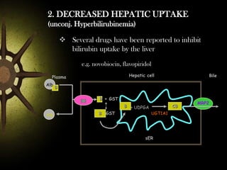 2. DECREASED HEPATIC UPTAKE
(unconj. Hyperbilirubinemia)
 Several drugs have been reported to inhibit
bilirubin uptake by the liver
e.g. novobiocin, flavopiridol
Hepatic cell

Plasma
Alb

Bile

B
B + GST

Alb

B :GST

B + UDPGA

CB
UGT1A1

sER

MRP2

 