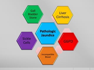 Pathologic Jaundice Jaundice | PPTX