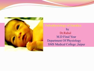Pathophysiology of Jaundice
by
Dr.Rahul
M.D Final Year
Department Of Physiology
SMS Medical College ,Jaipur
 