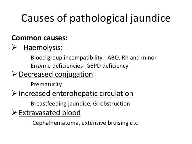 pathological jaundice newborn