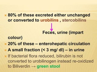  80% of these excreted either unchanged
or converted to urobilins , stercobilins
Feces, urine (impart
colour)
 20% of these – enterohepatic circulation
 A small fraction (< 3 mg/ dl) – in urine
 If bacterial flora reduced, bilirubin is not
converted to urobilinogen instead re-oxidized
to Biliverdin → green stool
 