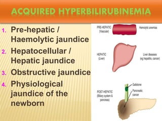 ACQUIRED HYPERBILIRUBINEMIA
1. Pre-hepatic /
Haemolytic jaundice
2. Hepatocellular /
Hepatic jaundice
3. Obstructive jaundice
4. Physiological
jaundice of the
newborn
 