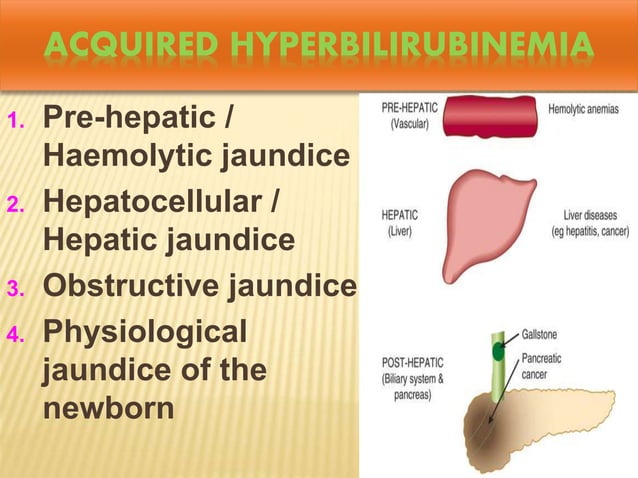 Liver function test and jaundice | PPTX