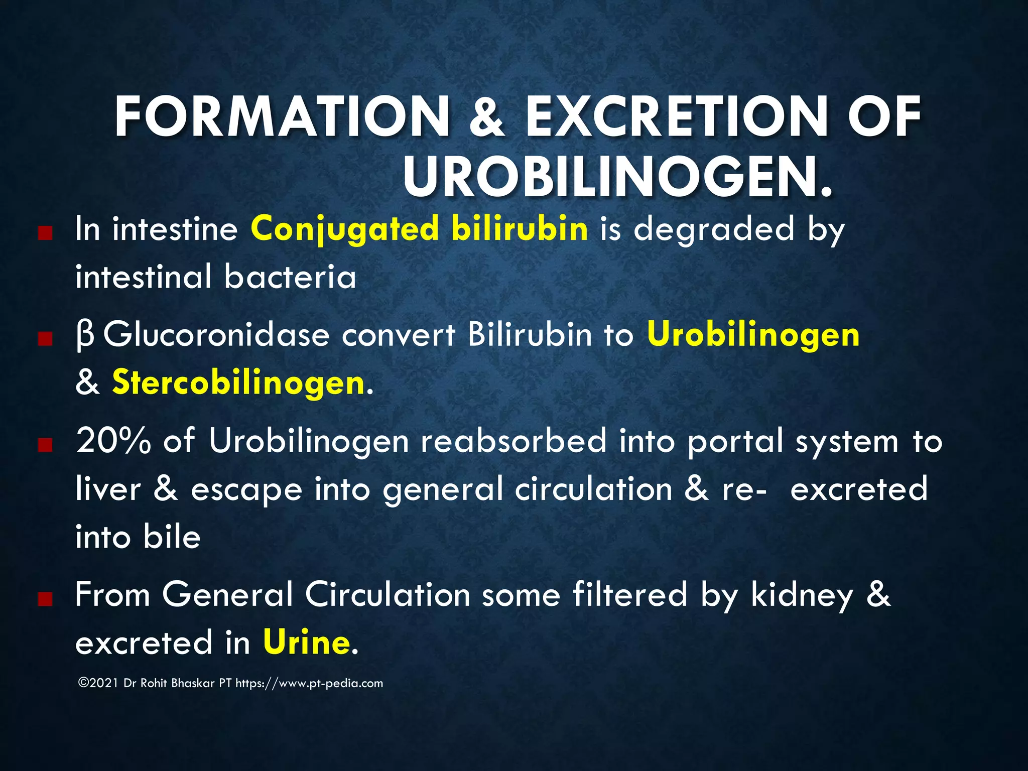 FORMATION & EXCRETION OF
UROBILINOGEN.
©2021 Dr Rohit Bhaskar PT https://www.pt-pedia.com
■ In intestine Conjugated bilirubin is degraded by
intestinal bacteria
■ β Glucoronidase convert Bilirubin to Urobilinogen
& Stercobilinogen.
■ 20% of Urobilinogen reabsorbed into portal system to
liver & escape into general circulation & re- excreted
into bile
■ From General Circulation some filtered by kidney &
excreted in Urine.
 