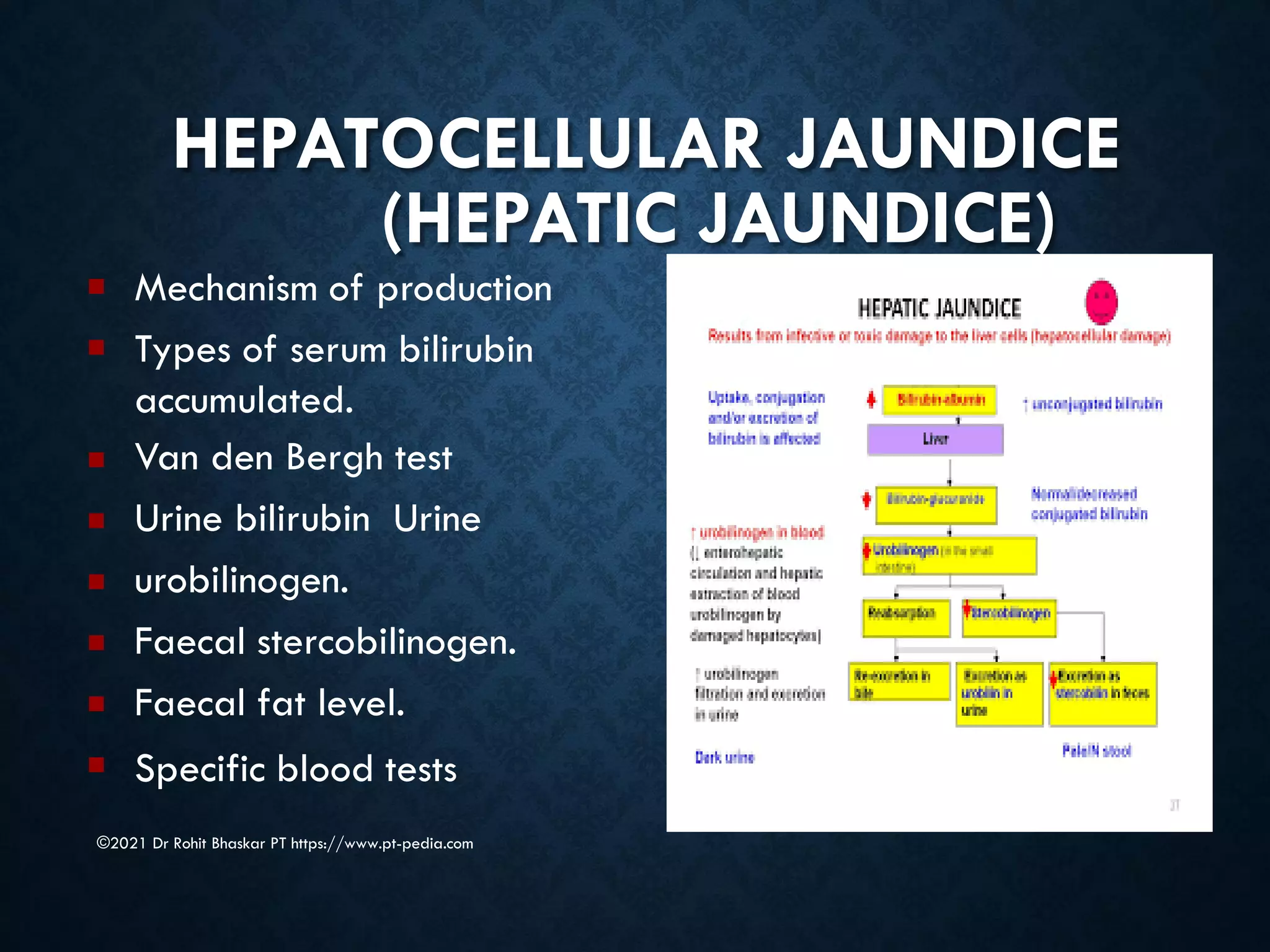 HEPATOCELLULAR JAUNDICE
(HEPATIC JAUNDICE)
©2021 Dr Rohit Bhaskar PT https://www.pt-pedia.com
■
■
■
■
■
■
■
■
Mechanism of production
Types of serum bilirubin
accumulated.
Van den Bergh test
Urine bilirubin Urine
urobilinogen.
Faecal stercobilinogen.
Faecal fat level.
Specific blood tests
 