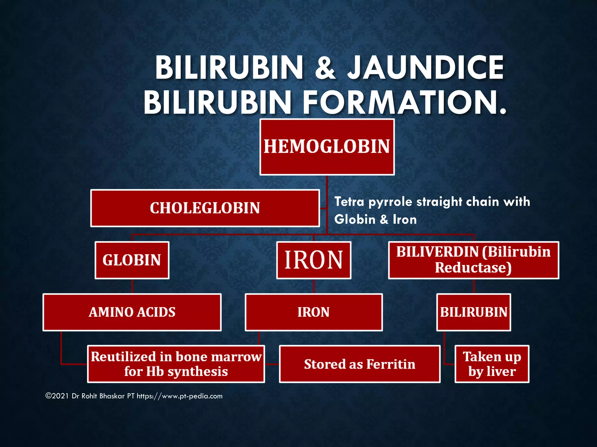 BILIRUBIN & JAUNDICE
BILIRUBIN FORMATION.
©2021 Dr Rohit Bhaskar PT https://www.pt-pedia.com
Tetra pyrrole straight chain with
Globin & Iron
 