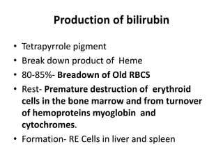 Production of bilirubin
• Tetrapyrrole pigment
• Break down product of Heme
• 80-85%- Breadown of Old RBCS
• Rest- Premature destruction of erythroid
cells in the bone marrow and from turnover
of hemoproteins myoglobin and
cytochromes.
• Formation- RE Cells in liver and spleen
 