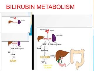 BILIRUBIN METABOLISM
 