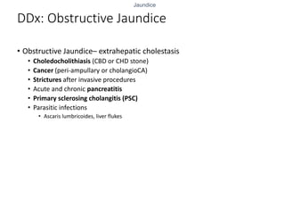 Jaundice
DDx: Obstructive Jaundice
• Obstructive Jaundice– extrahepatic cholestasis
• Choledocholithiasis (CBD or CHD stone)
• Cancer (peri-ampullary or cholangioCA)
• Strictures after invasive procedures
• Acute and chronic pancreatitis
• Primary sclerosing cholangitis (PSC)
• Parasitic infections
• Ascaris lumbricoides, liver flukes
 