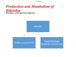 Jaundice
Production and Metabolism of
Bilirubin:
• Bilirubin, a tetrapyrrole pigment.
Bilirubin
70-80%-senescent RBC
HEMOPROTIENS-
Myoglobin,cytochromes
 
