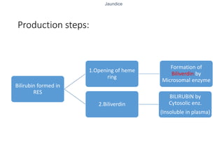 Jaundice
Production steps:
Bilirubin formed in
RES
1.Opening of heme
ring
Formation of
Biliverdin by
Microsomal enzyme
2.Biliverdin
BILIRUBIN by
Cytosolic enz.
(Insoluble in plasma)
 