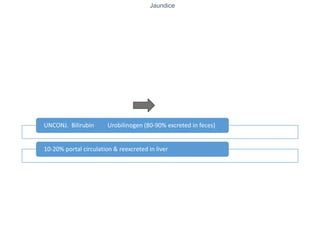 Jaundice
UNCONJ. Bilirubin Urobilinogen (80-90% excreted in feces)
10-20% portal circulation & reexcreted in liver
 