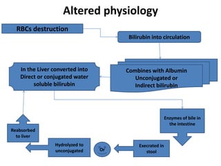 jaundice bsc nursing students ppt for teaching | PPT