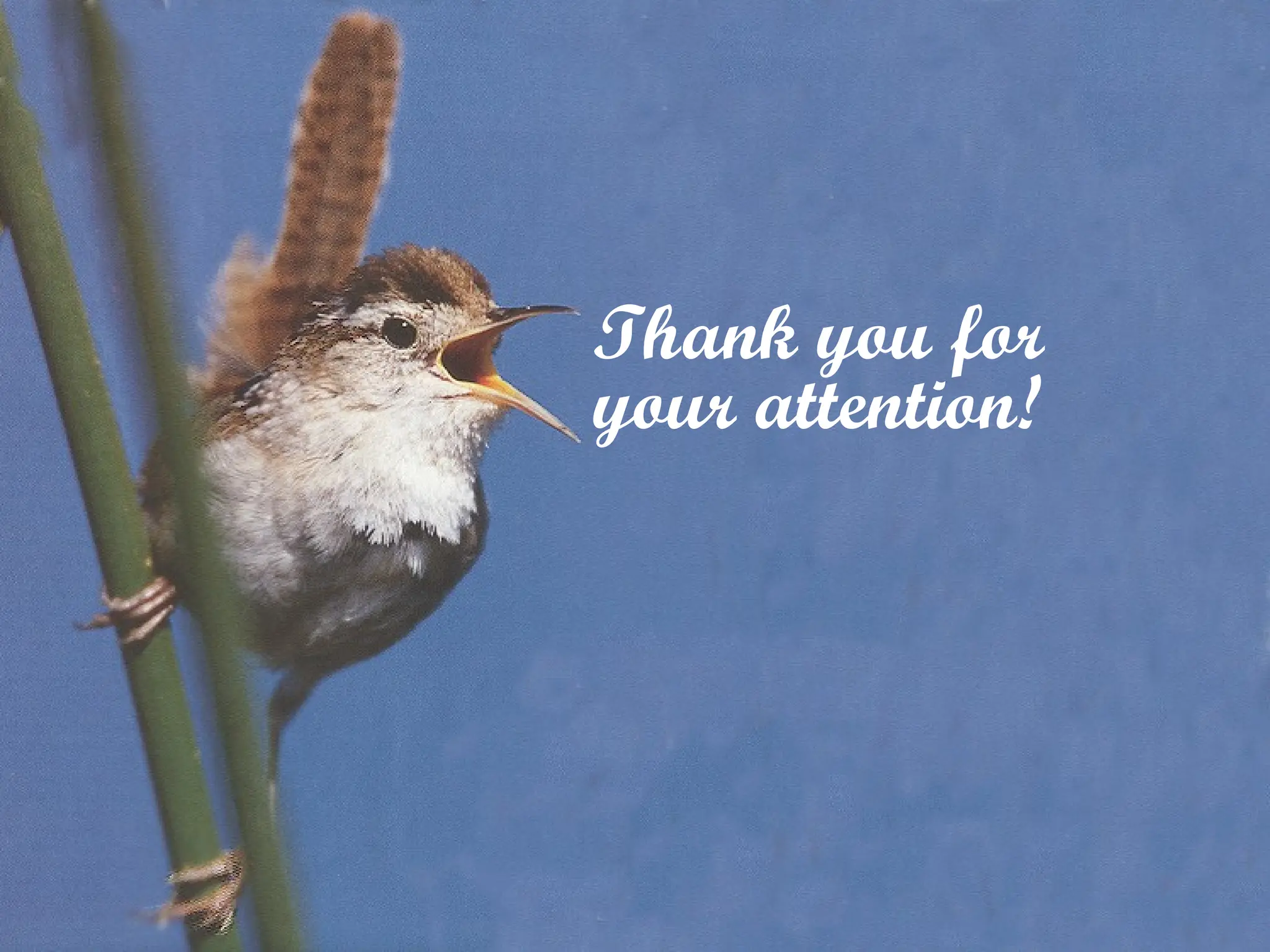 Thank you for
your attention!
 