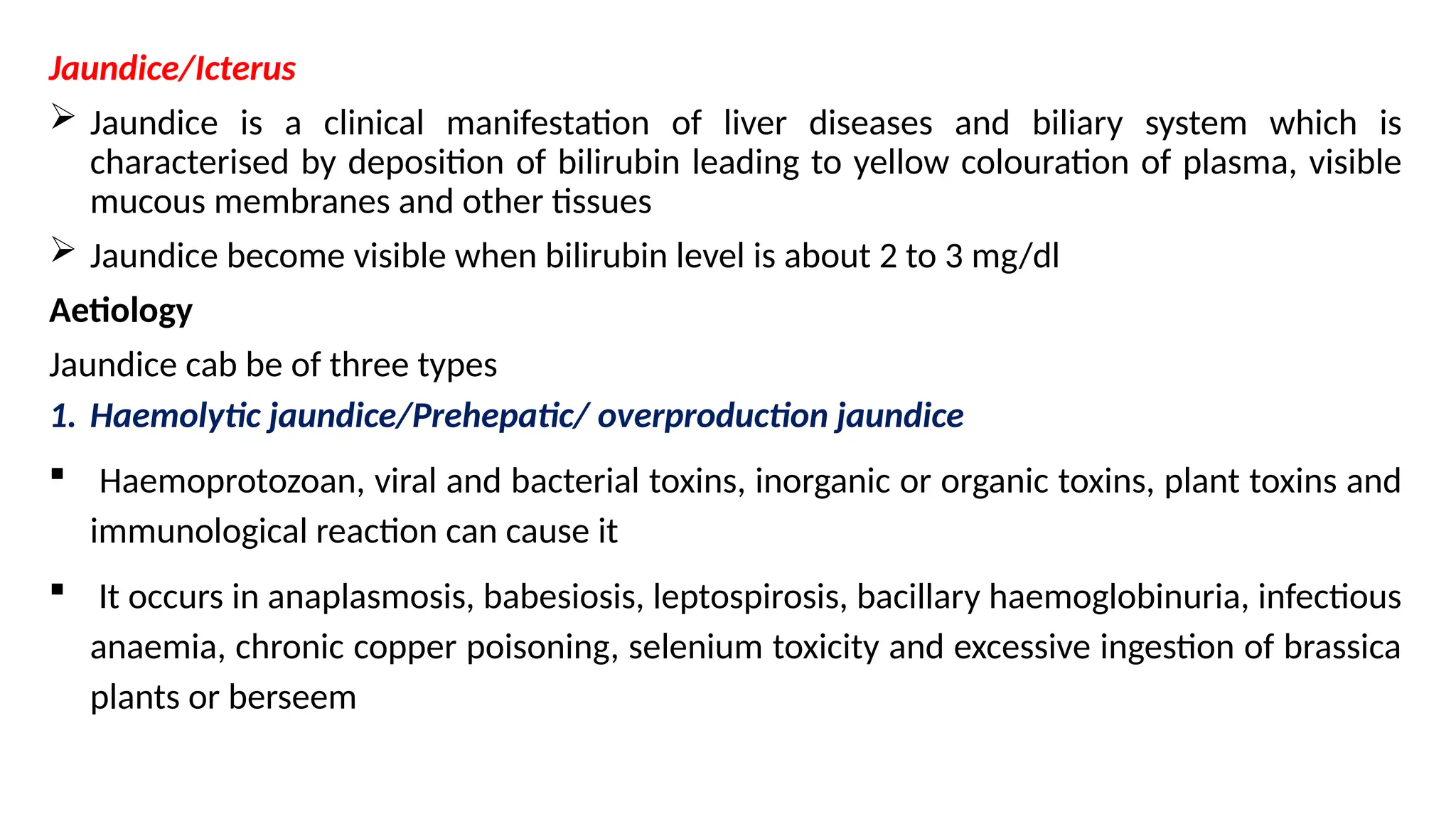 What Causes Jaundice In Dogs