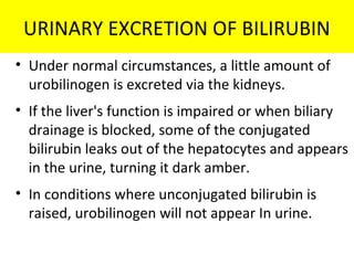 URINARY EXCRETION OF BILIRUBIN
• Under normal circumstances, a little amount of
urobilinogen is excreted via the kidneys.
• If the liver's function is impaired or when biliary
drainage is blocked, some of the conjugated
bilirubin leaks out of the hepatocytes and appears
in the urine, turning it dark amber.
• In conditions where unconjugated bilirubin is
raised, urobilinogen will not appear In urine.
 