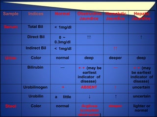 Jaundice Management Racgp Comprehensive Approach to Jaundice: Diagnosis and Management | PPTX