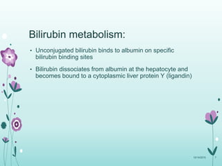 Bilirubin metabolism:
• Unconjugated bilirubin binds to albumin on specific
bilirubin binding sites
• Bilirubin dissociates from albumin at the hepatocyte and
becomes bound to a cytoplasmic liver protein Y (ligandin)
10/14/2015 7
 