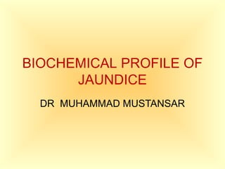 BIOCHEMICAL PROFILE OF
      JAUNDICE
  DR MUHAMMAD MUSTANSAR
 