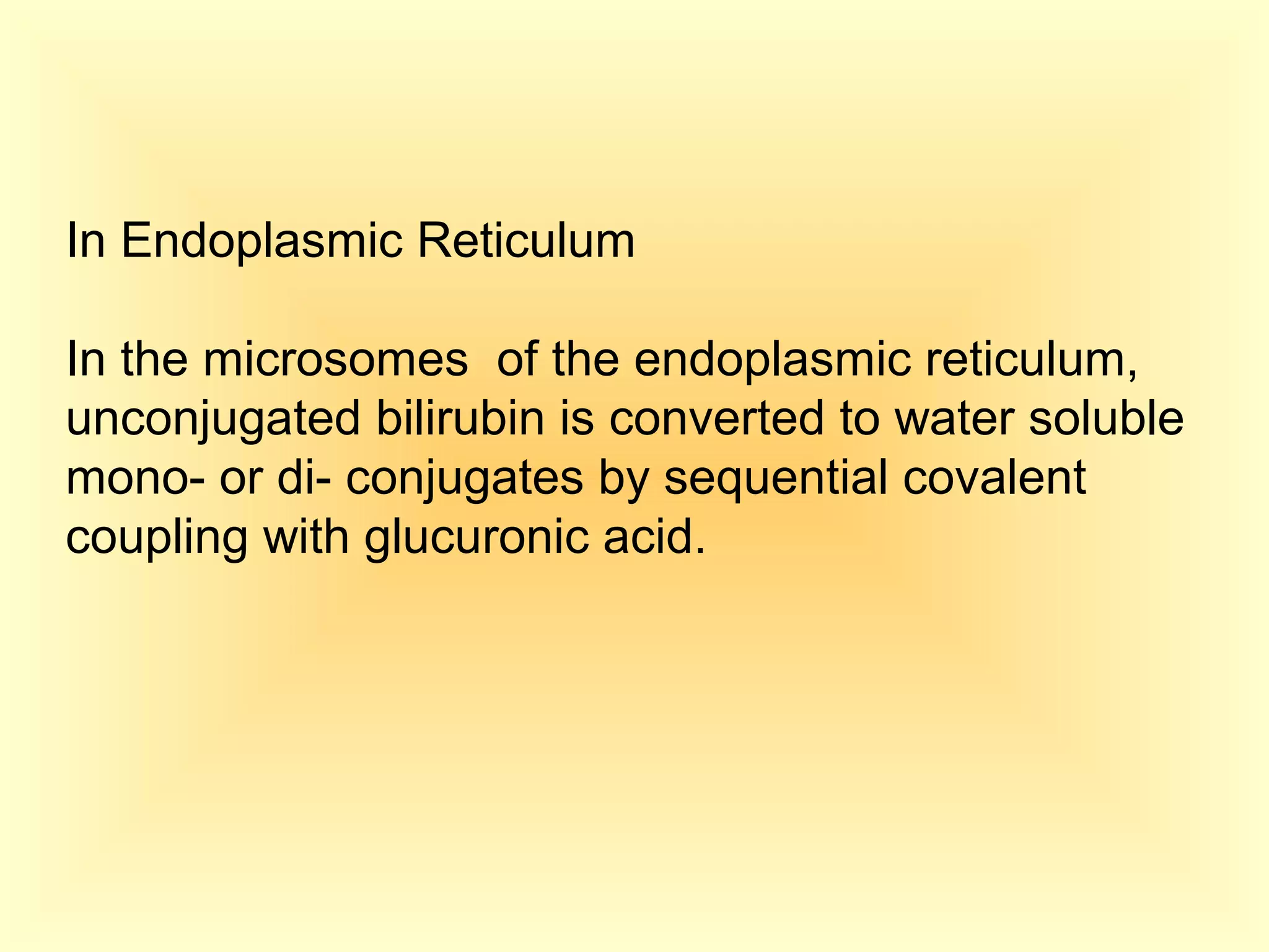 In Endoplasmic Reticulum
In the microsomes of the endoplasmic reticulum,
unconjugated bilirubin is converted to water soluble
mono- or di- conjugates by sequential covalent
coupling with glucuronic acid.
 