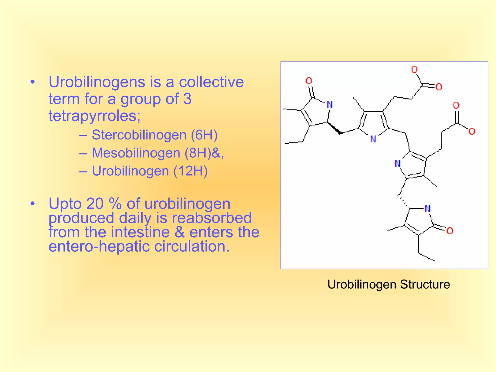 • Urobilinogens is a collective
term for a group of 3
tetrapyrroles;
– Stercobilinogen (6H)
– Mesobilinogen (8H)&,
– Urobilinogen (12H)
• Upto 20 % of urobilinogen
produced daily is reabsorbed
from the intestine & enters the
entero-hepatic circulation.
Urobilinogen Structure
 