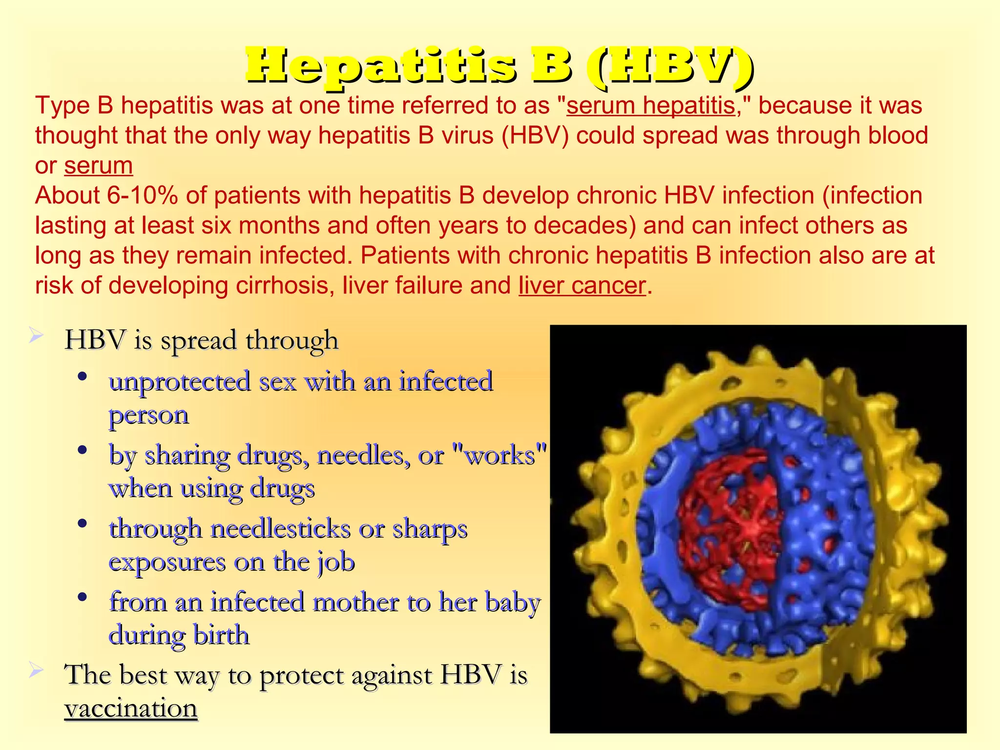 Hepatitis B (HBV)Hepatitis B (HBV)
Type B hepatitis was at one time referred to as "serum hepatitis," because it was
thought that the only way hepatitis B virus (HBV) could spread was through blood
or serum
About 6-10% of patients with hepatitis B develop chronic HBV infection (infection
lasting at least six months and often years to decades) and can infect others as
long as they remain infected. Patients with chronic hepatitis B infection also are at
risk of developing cirrhosis, liver failure and liver cancer.
 HBV is spread throughHBV is spread through

unprotected sex with an infectedunprotected sex with an infected
personperson

by sharing drugs, needles, or "works"by sharing drugs, needles, or "works"
when using drugswhen using drugs

through needlesticks or sharpsthrough needlesticks or sharps
exposures on the jobexposures on the job

from an infected mother to her babyfrom an infected mother to her baby
during birthduring birth
 The best way to protect against HBV isThe best way to protect against HBV is
vaccinationvaccination
 