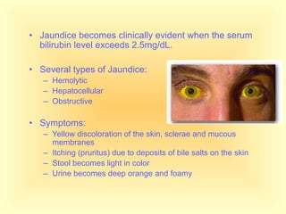 Biochemical profile of Jaundice MUHAMMAD MUSTANSAR | PPT