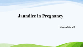 Jaundice in Pregnancy
Mukesh Sah, MD
 